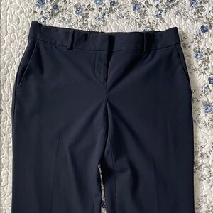 Ann Taylor Navy Women's Trousers